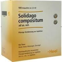 SOLIDAGO COMPOSITUM ad us.vet.Ampullen