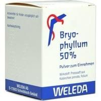 BRYOPHYLLUM 50% Pulver zum Einnehmen