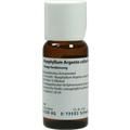 BRYOPHYLLUM ARGENTO cultum D 2 Dilution