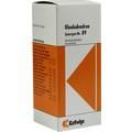 SYNERGON KOMPLEX 89 Rhododendron Tropfen