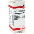 CARDIOSPERMUM D 2 Globuli